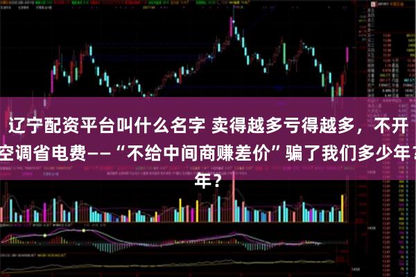 辽宁配资平台叫什么名字 卖得越多亏得越多，不开空调省电费——“不给中间商赚差价”骗了我们多少年？