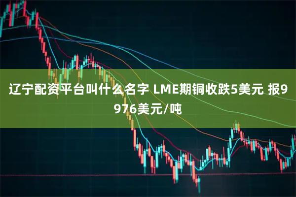 辽宁配资平台叫什么名字 LME期铜收跌5美元 报9976美元/吨