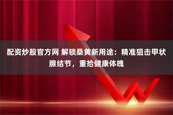 配资炒股官方网 解锁桑黄新用途:精准狙击甲状腺结节,重拾健康体魄