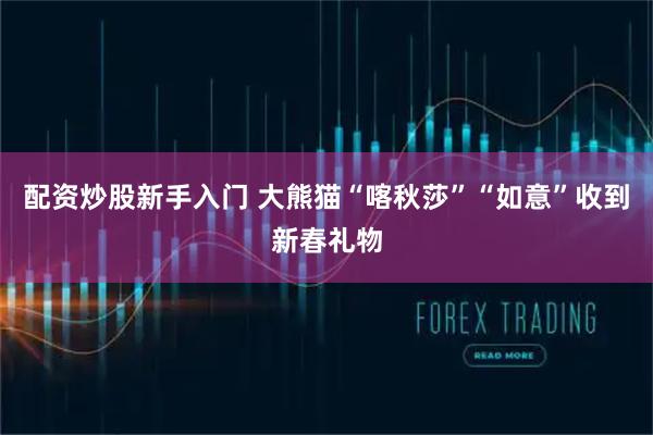配资炒股新手入门 大熊猫“喀秋莎”“如意”收到新春礼物